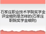 石家庄职业技术学院奖学金评定细则是怎样的(石家庄职院奖学金细则)
