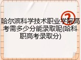 哈尔滨科学技术职业学院高考需多少分能录取呢(哈科职高考录取分)