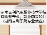 湖南吉利汽车职业技术学院有哪些专业，就业前景如何(湖南吉利职院专业就业)