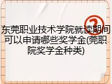 东莞职业技术学院就读期间可以申请哪些奖学金(莞职院奖学金种类)