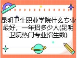 昆明卫生职业学院什么专业最好，一年招多少人(昆明卫院热门专业招生数)