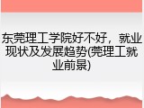 东莞理工学院好不好，就业现状及发展趋势(莞理工就业前景)