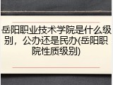 岳阳职业技术学院是什么级别，公办还是民办(岳阳职院性质级别)
