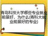 青岛科技大学哪些专业就业前景好，为什么(青科大就业前景好的专业)