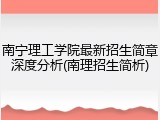 南宁理工学院最新招生简章深度分析(南理招生简析)