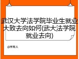 武汉大学法学院毕业生就业大致去向如何(武大法学院就业去向)