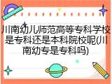 川南幼儿师范高等专科学校是专科还是本科院校呢(川南幼专是专科吗)