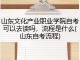 山东文化产业职业学院自考可以去读吗，流程是什么(山东自考流程)