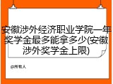 安徽涉外经济职业学院一年奖学金最多能拿多少(安徽涉外奖学金上限)