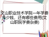 文山职业技术学院一年学费多少钱，还有哪些费用(文山职院学费杂费)
