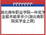 湖北青年职业学院一年奖学金最多能拿多少(湖北青职院奖学金上限)
