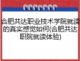合肥共达职业技术学院就读的真实感觉如何(合肥共达职院就读体验)