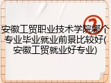 安徽工贸职业技术学院哪个专业毕业就业前景比较好(安徽工贸就业好专业)