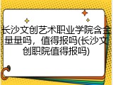 长沙文创艺术职业学院含金量量吗，值得报吗(长沙文创职院值得报吗)