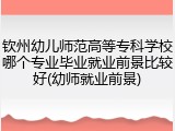 钦州幼儿师范高等专科学校哪个专业毕业就业前景比较好(幼师就业前景)