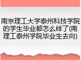 南京理工大学泰州科技学院的学生毕业都怎么样了(南理工泰州学院毕业生去向)