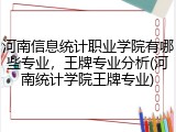 河南信息统计职业学院有哪些专业，王牌专业分析(河南统计学院王牌专业)