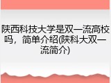 陕西科技大学是双一流高校吗，简单介绍(陕科大双一流简介)