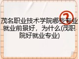 茂名职业技术学院哪些专业就业前景好，为什么(茂职院好就业专业)