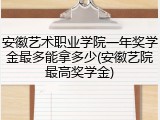 安徽艺术职业学院一年奖学金最多能拿多少(安徽艺院最高奖学金)