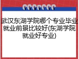 武汉东湖学院哪个专业毕业就业前景比较好(东湖学院就业好专业)