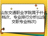 山东交通职业学院属于什么档次，专业排行分析(山东交职专业档次)