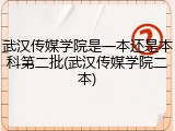 武汉传媒学院是一本还是本科第二批(武汉传媒学院二本)