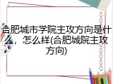合肥城市学院主攻方向是什么，怎么样(合肥城院主攻方向)