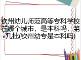钦州幼儿师范高等专科学校在哪个城市，是本科吗，第几批(钦州幼专是本科吗)
