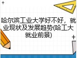 哈尔滨工业大学好不好，就业现状及发展趋势(哈工大就业前景)