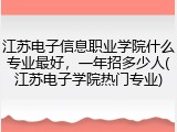 江苏电子信息职业学院什么专业最好，一年招多少人(江苏电子学院热门专业)