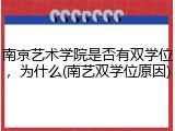 南京艺术学院是否有双学位，为什么(南艺双学位原因)