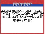 无锡学院哪个专业毕业就业前景比较好(无锡学院就业前景好专业)