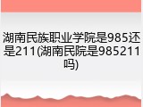 湖南民族职业学院是985还是211(湖南民院是985211吗)