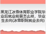 黑龙江冰雪体育职业学院毕业后就业前景怎么样，毕业生去向(冰雪职院就业去向)