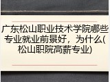 广东松山职业技术学院哪些专业就业前景好，为什么(松山职院高薪专业)