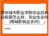 南京城市职业学院毕业后就业前景怎么样，毕业生去向(南城职就业去向)