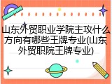 山东外贸职业学院主攻什么方向有哪些王牌专业(山东外贸职院王牌专业)