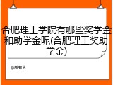 合肥理工学院有哪些奖学金和助学金呢(合肥理工奖助学金)