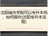 沈阳城市学院可以专升本吗，如何操作(沈阳专升本流程)