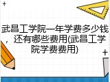 武昌工学院一年学费多少钱，还有哪些费用(武昌工学院学费费用)