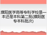 濮阳医学高等专科学校是一本还是本科第二批(濮阳医专本科批次)