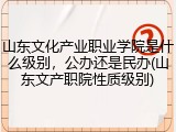 山东文化产业职业学院是什么级别，公办还是民办(山东文产职院性质级别)