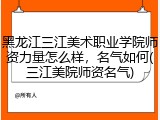 黑龙江三江美术职业学院师资力量怎么样，名气如何(三江美院师资名气)
