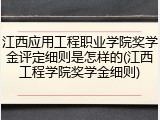 江西应用工程职业学院奖学金评定细则是怎样的(江西工程学院奖学金细则)