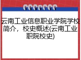云南工业信息职业学院学校简介，校史概述(云南工业职院校史)
