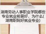 湖南劳动人事职业学院哪些专业就业前景好，为什么(湖南职院好就业专业)