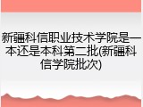 新疆科信职业技术学院是一本还是本科第二批(新疆科信学院批次)