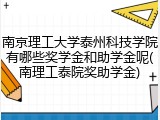 南京理工大学泰州科技学院有哪些奖学金和助学金呢(南理工泰院奖助学金)