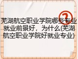 芜湖航空职业学院哪些专业就业前景好，为什么(芜湖航空职业学院好就业专业)